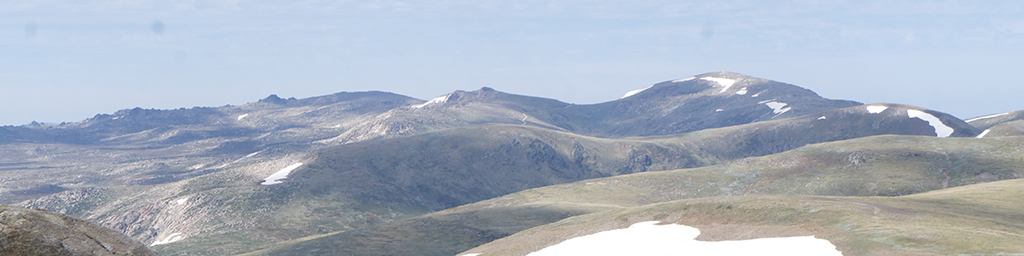 Australian Alpine Walking Track (the Top Bit) feature image